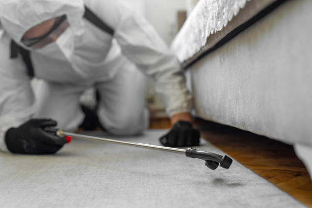 Professional Pest Control technician working in Kansas, KS