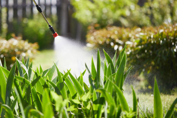24/7 Emergency Pest Control experts in Kansas, KS